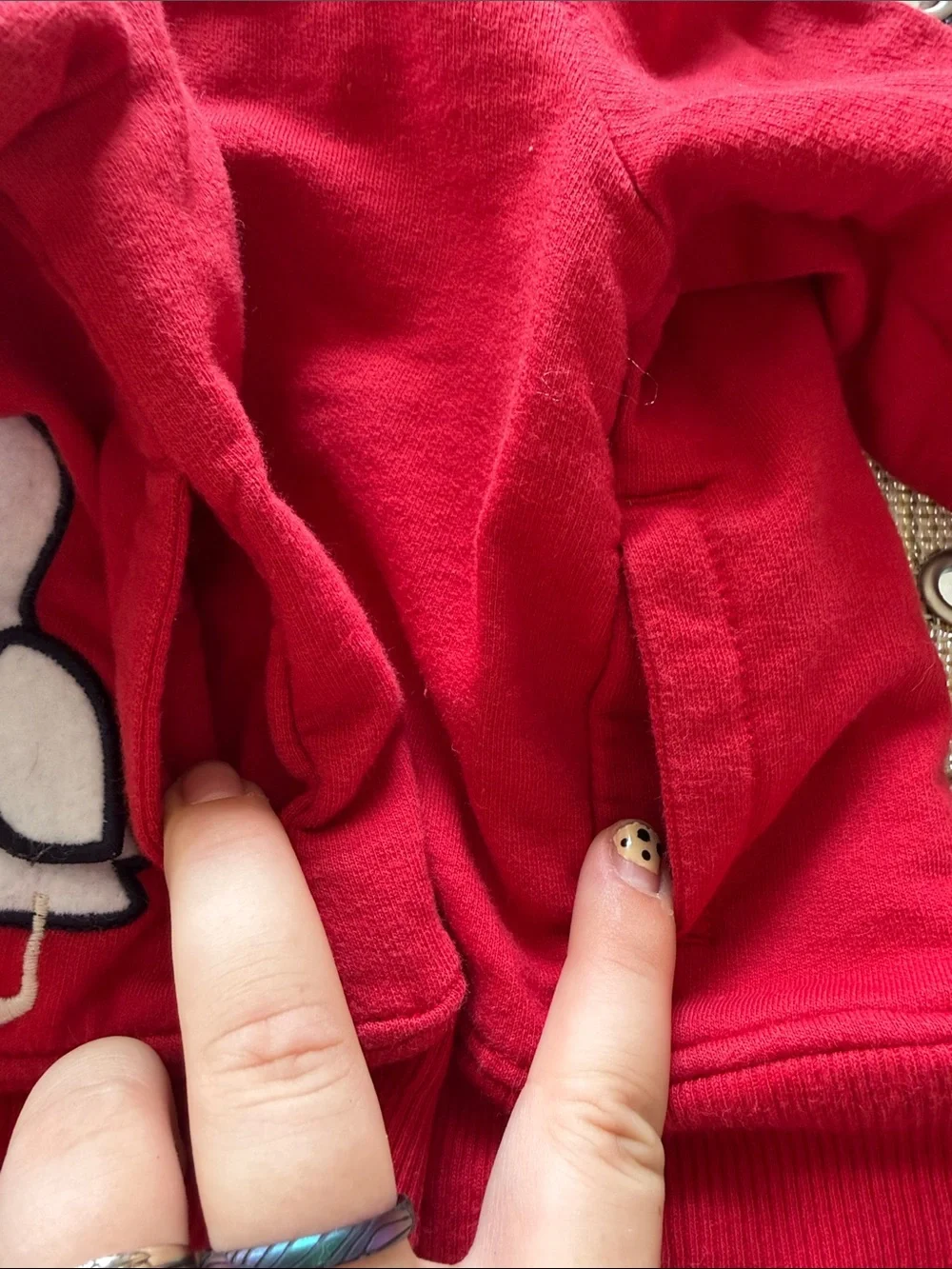 Gymboree Red Hooded Zip-Up Sweatshirt with Pelican Patch